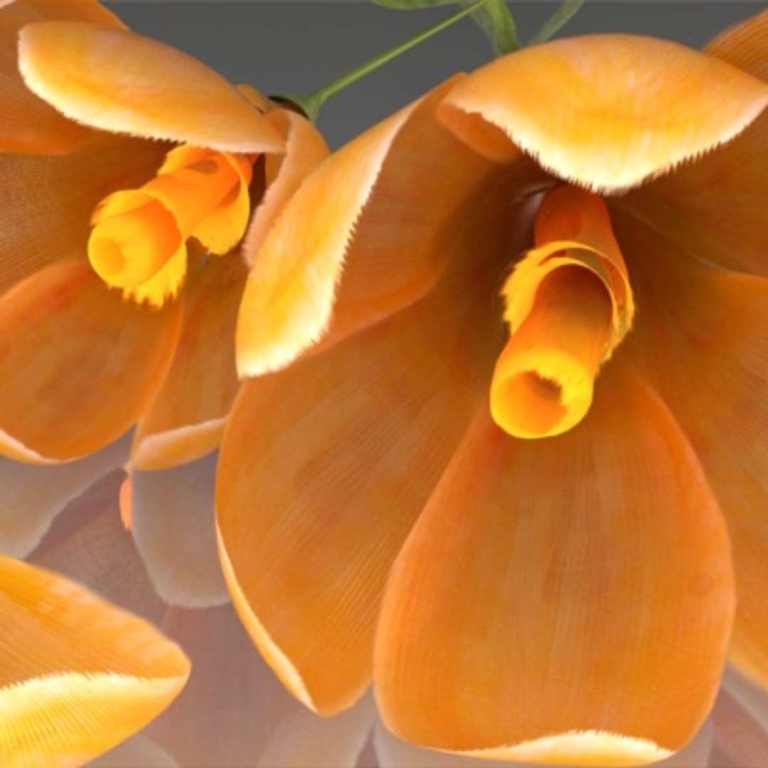 flower crocus yello 3d max https://p.turbosquid.com/ts-thumb/p3/rgXBMF/tKkL1rFI/flower.crocus.yello.0005/jpg/1268253808/1920x1080/fit_q87/56afa583a0588bd1611861b04a1fc5c267cb736a/flower.crocus.yello.0005.jpg