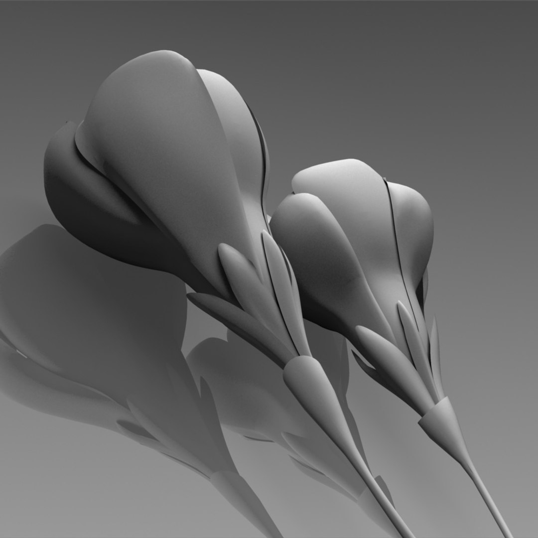 flower crocus yello 3d max https://p.turbosquid.com/ts-thumb/p3/rgXBMF/uCeT3pdq/flower.crocus.yello.0021.clay/jpg/1268253810/1920x1080/fit_q87/257034adcb5101529aab034ca76977e6c0f7451f/flower.crocus.yello.0021.clay.jpg