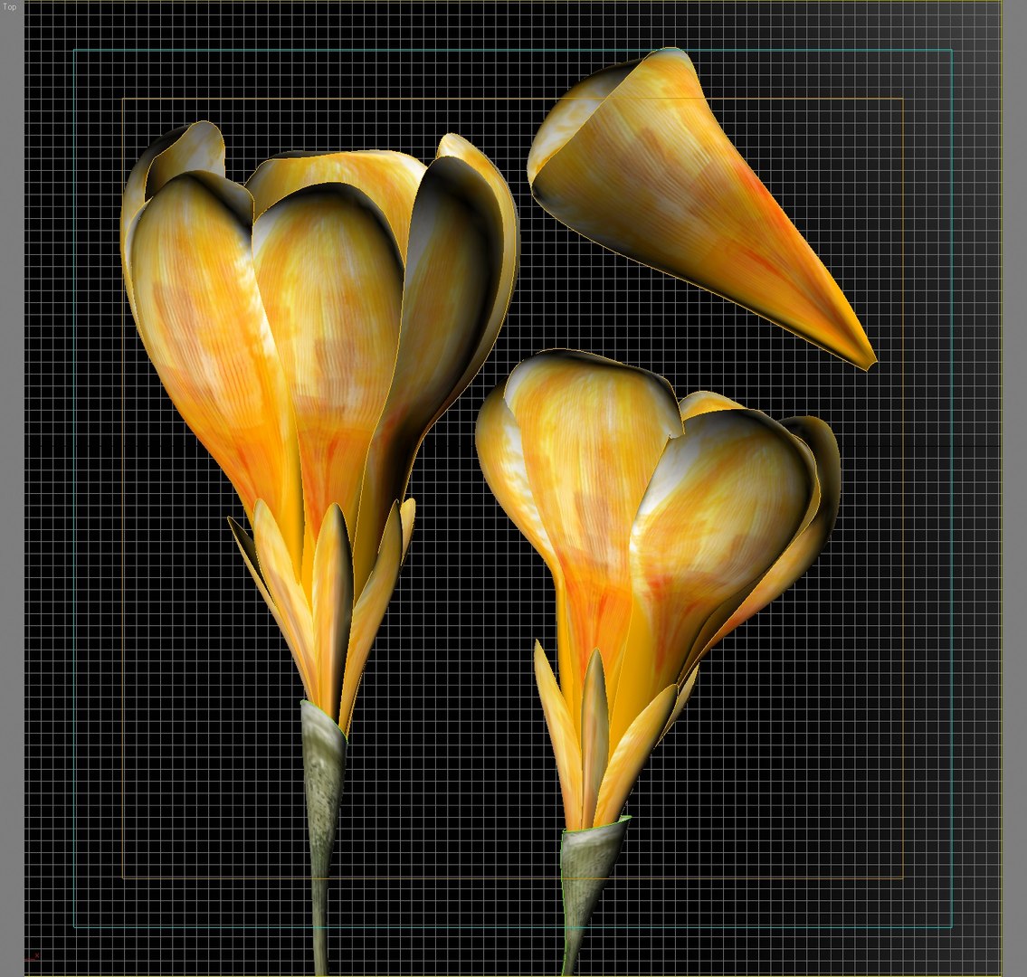 flower crocus yello 3d max https://p.turbosquid.com/ts-thumb/p3/rgXBMF/vACCVua5/flower.crocus.yello.w.0033/jpg/1268253812/1920x1080/fit_q87/de2e255498c68be770cf2bb8f74643a964d2d84b/flower.crocus.yello.w.0033.jpg