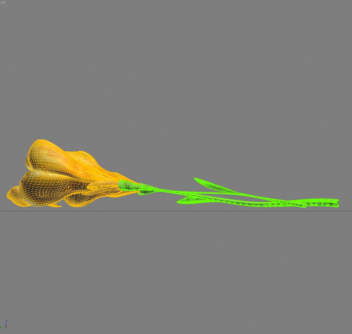 flower crocus yello 3d max https://p.turbosquid.com/ts-thumb/p3/rgXBMF/wgwLs17M/flower.crocus.yello.w.0035/jpg/1268253812/1920x1080/fit_q87/ff2aa6243b037e0360ebdd1b6240d82eaac53129/flower.crocus.yello.w.0035.jpg