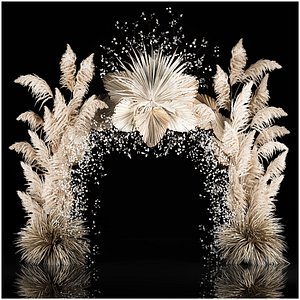 Wedding Arch Made Of Dried Flowers Pampas Grass 3D model