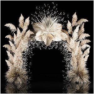 Wedding Arch Made Of Dried Flowers Pampas Grass