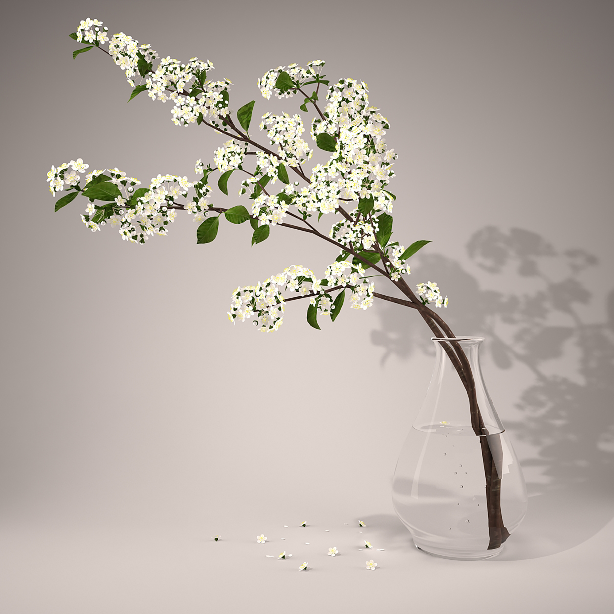 modelo 3d Flor gratis - TurboSquid 1773299
