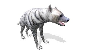wild animal hyena rigged 3D