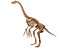 Therizinosaurus skeleton