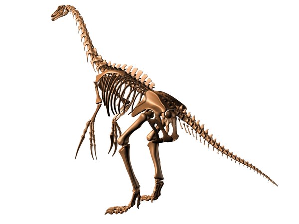 Nothronychus therizinosaurus skeleton bones 3D model - TurboSquid 1228837