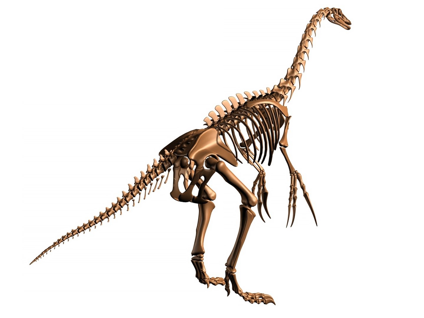 nothronychus therizinosaurus skeleton bones 3D model https://p.turbosquid.com/ts-thumb/p4/9EkWCH/IB/05111/jpg/1739332208/1920x1080/fit_q87/c5cd45071209bd099fa385e5f95cabf322bca4e4/05111.jpg