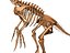 Therizinosaurus skeleton