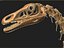Therizinosaurus skeleton