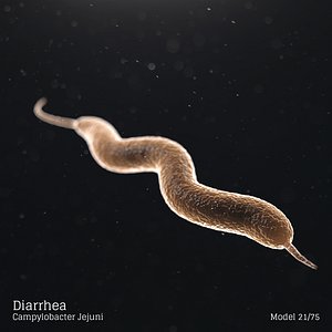 microbes bacteria cells 3D model