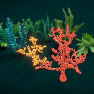 Cartoon Seaweed 10