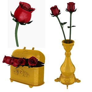 rose vase box 3D