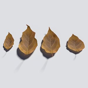 dry leaves model