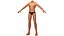 Little Boy Body Base Mesh