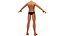 Little Boy Body Base Mesh