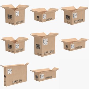 Open Cardboard Box Collection(1)