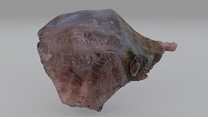 Minerals - Big Selenite Crystal A 3D model