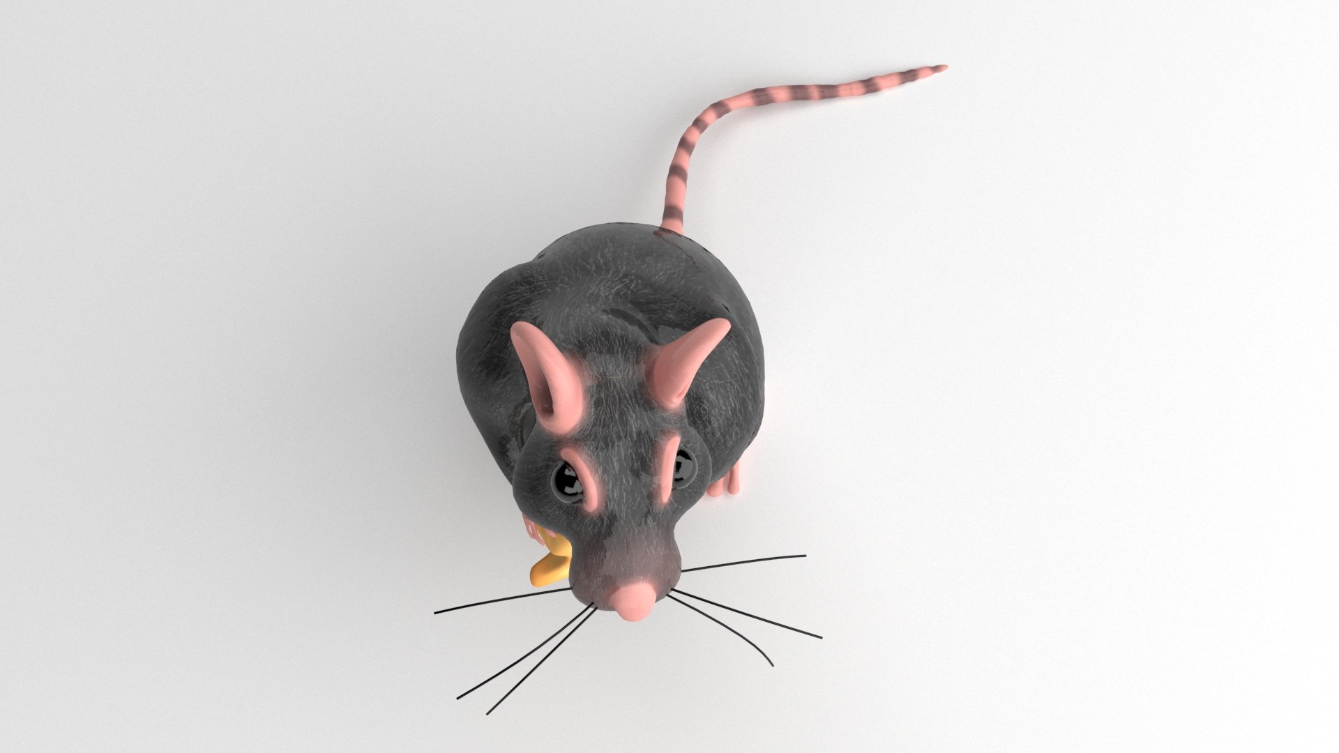 3D RAT - TurboSquid 1804937