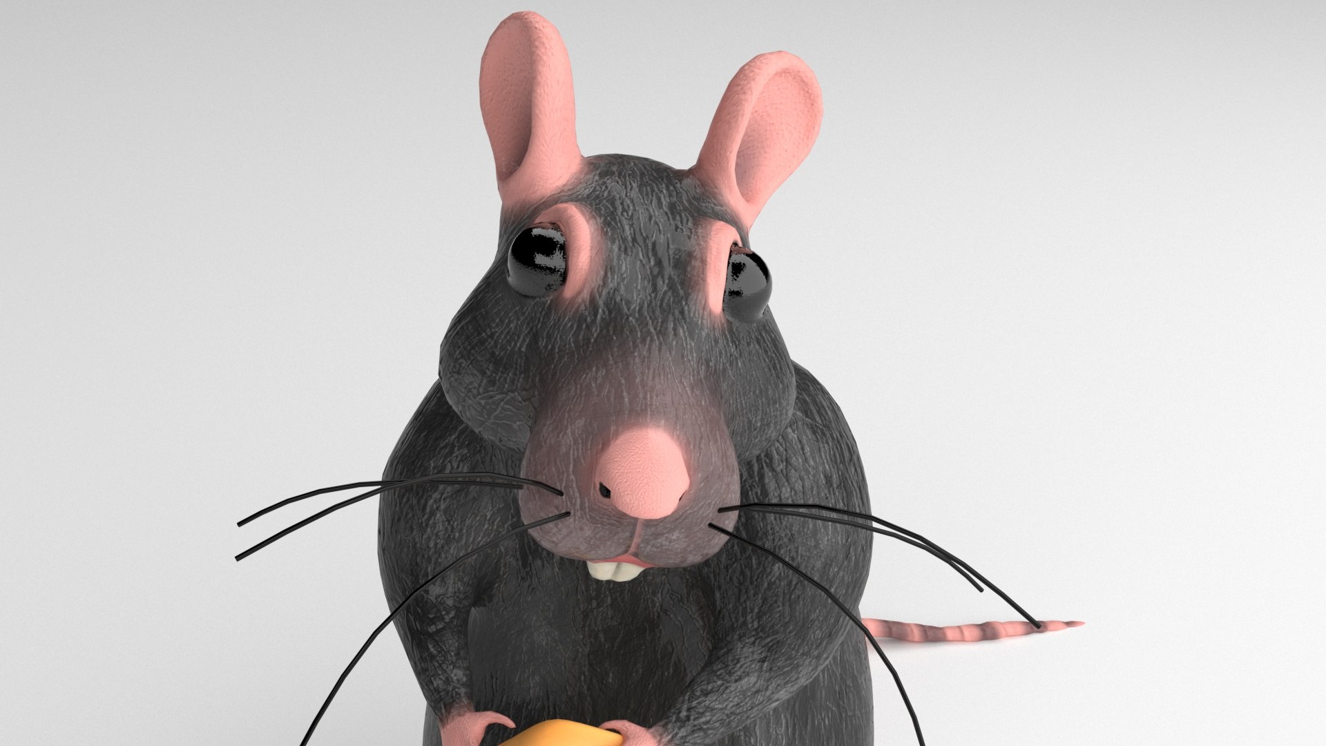 3D RAT - TurboSquid 1804937