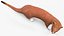 Mustela Erminea Brown Lifelike Pose model