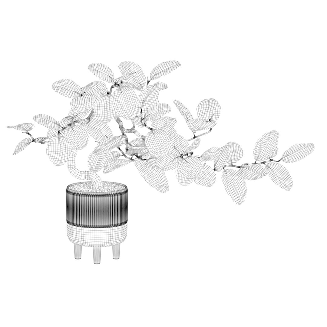 Ficus benghalensis 3D model https://p.turbosquid.com/ts-thumb/p4/yVdKTA/Kh/ficusbenghalensis05wire/jpg/1654508958/1920x1080/fit_q87/e097cac0dc0e1d9bf28d87f4ed0ce87b499a671f/ficusbenghalensis05wire.jpg