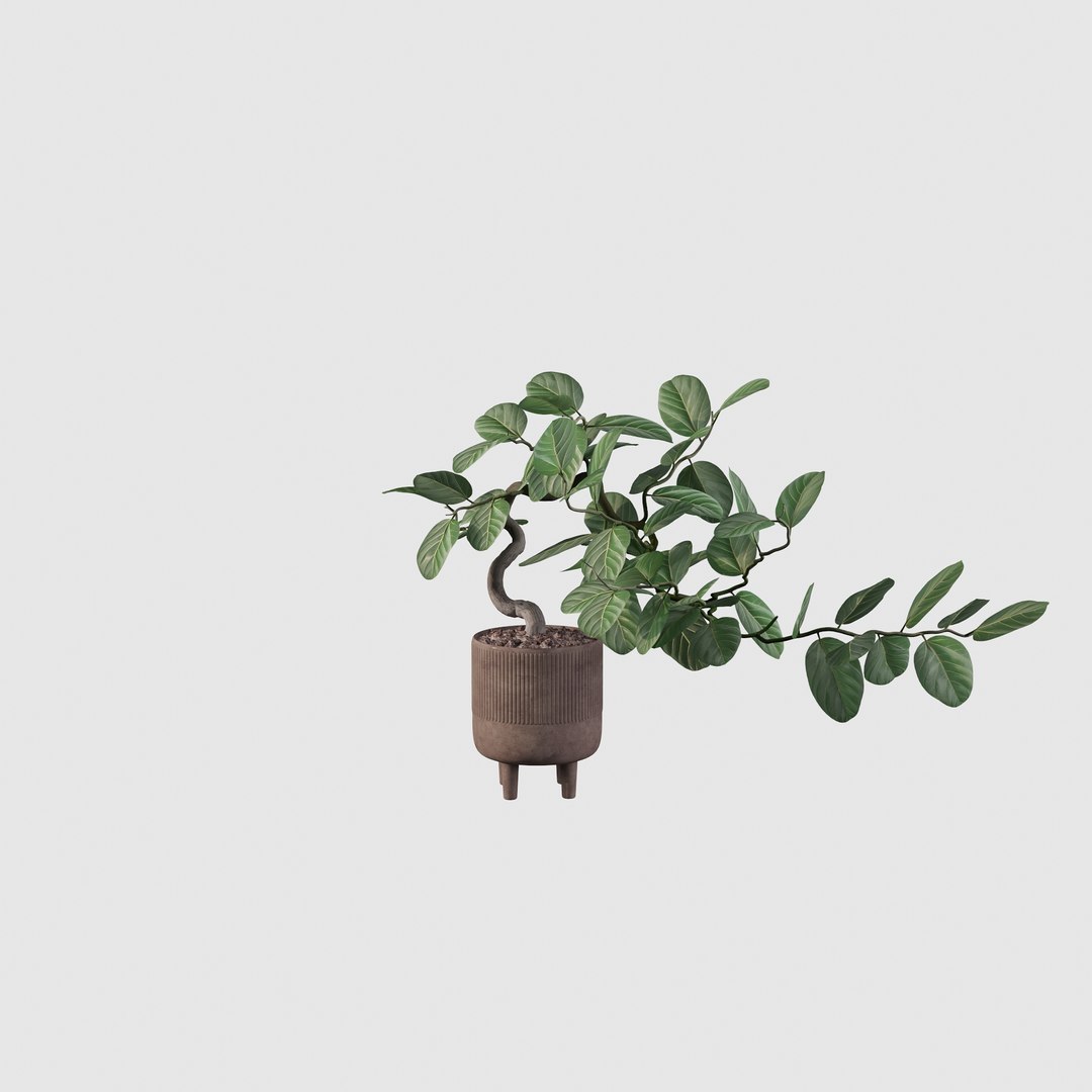 Ficus benghalensis 3D model https://p.turbosquid.com/ts-thumb/p4/yVdKTA/ss/ficus21/jpg/1654508968/1920x1080/fit_q87/55495da713225b2977406e7c29fa7134cd17bb87/ficus21.jpg