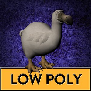 dodo 3D