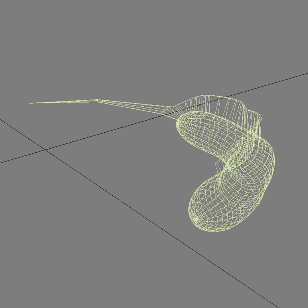 3d Model Of Microbes Micro Organisms
