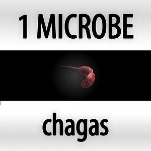 3d model of microbes micro organisms