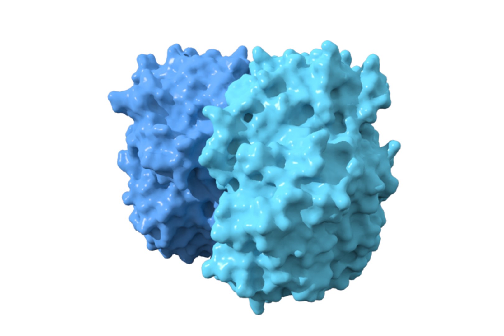 3D Glucose Oxidase Model - TurboSquid 1186337