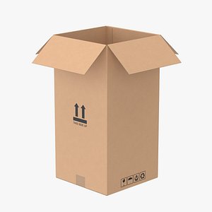 3D Cardboard Box 50x50x100 Open