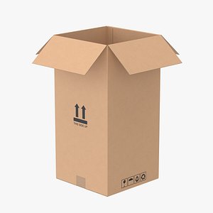 Cardboard Box 50x50x100 Open