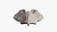 Primordial Skull Shield