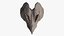 Primordial Skull Shield