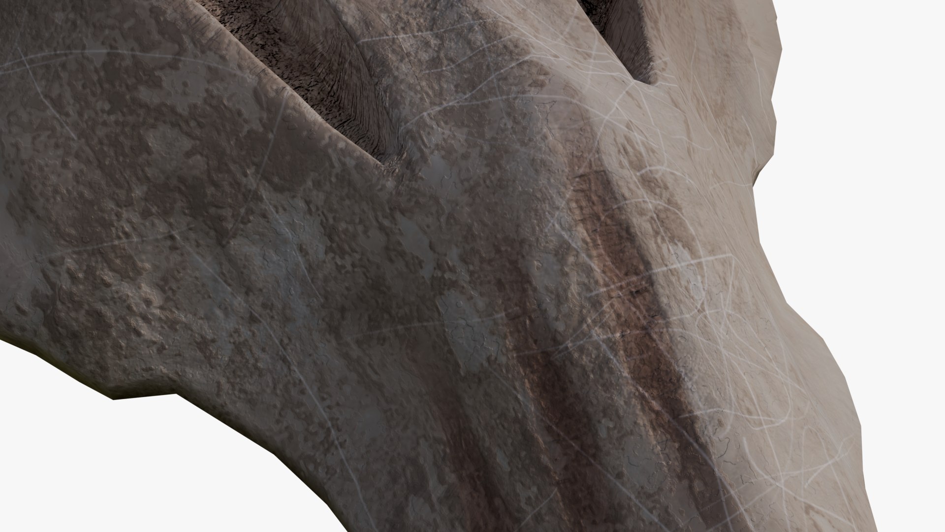 Primordial Skull Shield 3D model https://p.turbosquid.com/ts-thumb/p5/VJMijH/p3/2/png/1743250499/1920x1080/fit_q87/1e233487d7e64b8308f2b181b3d6a6ec53b0dc0f/2.jpg