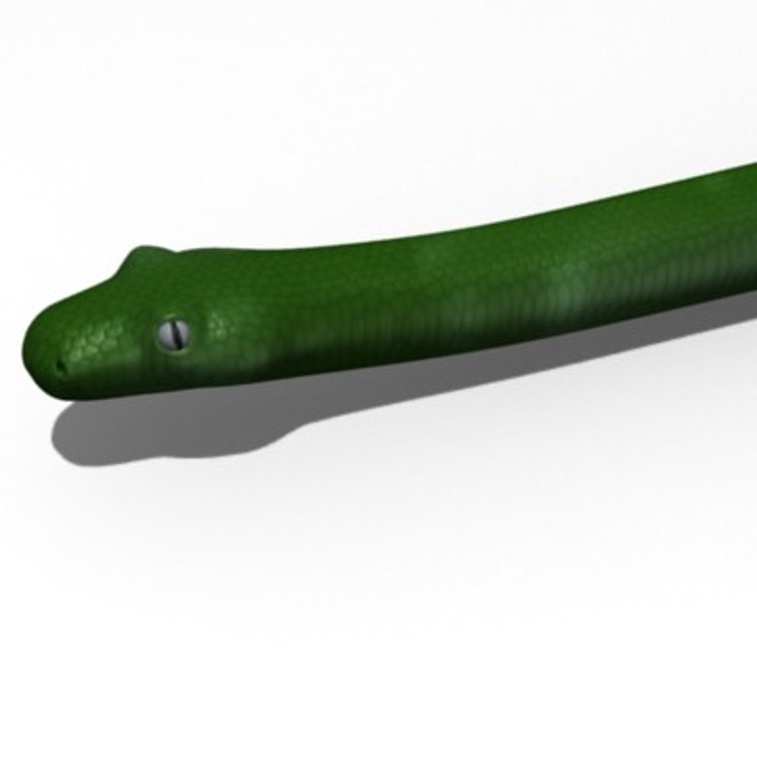 3d model green python