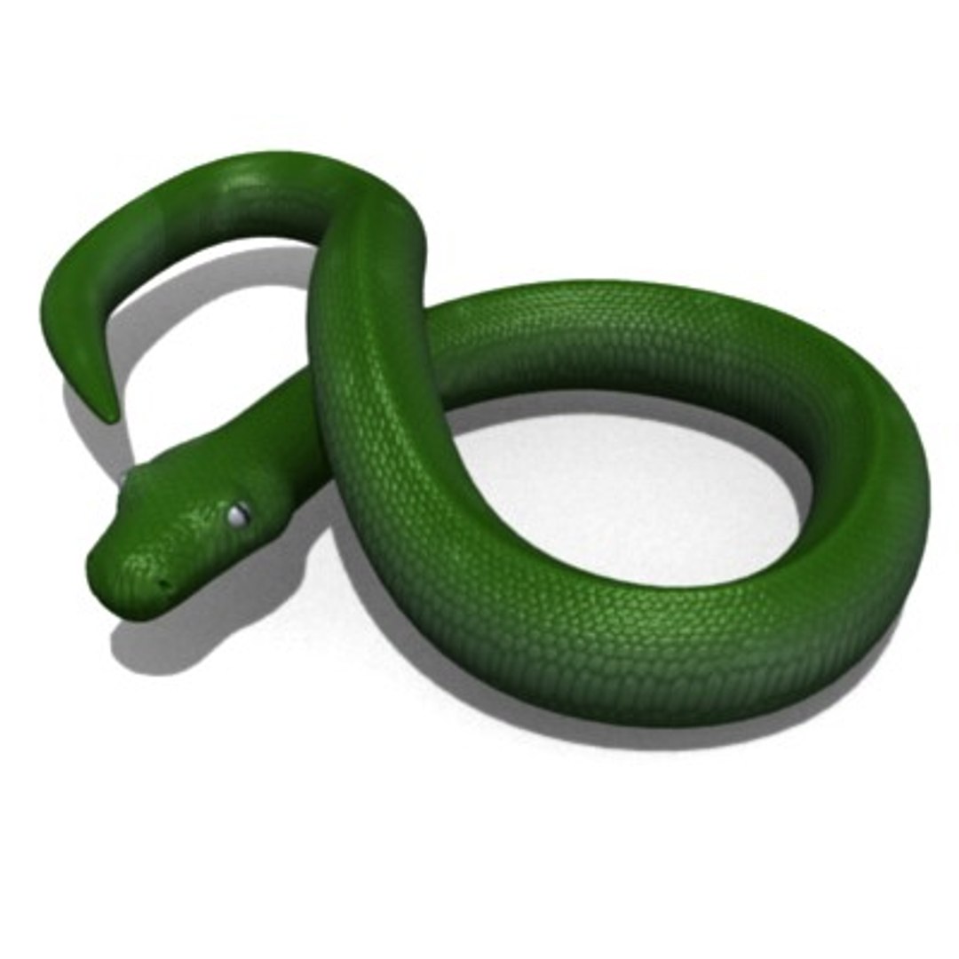 3d model green python