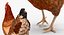 rooster chickens 3D model