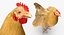 rooster chickens 3D model