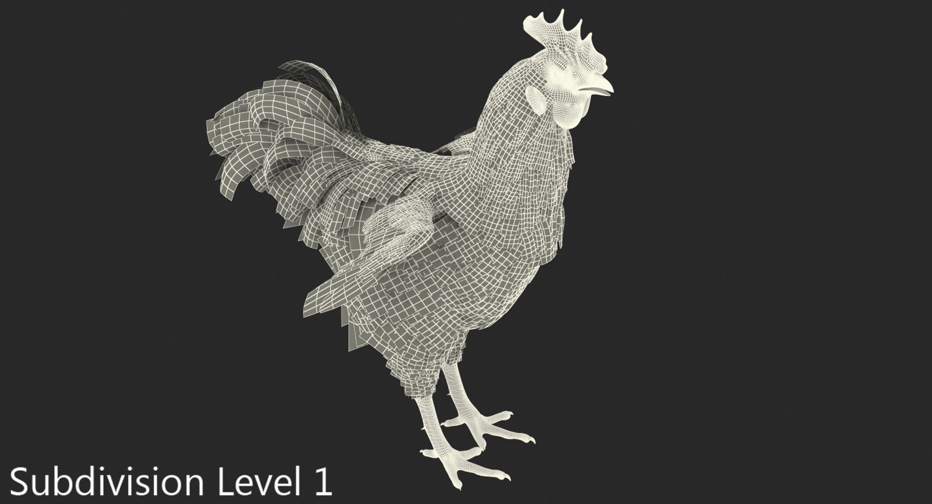 rooster chickens 3D model https://p.turbosquid.com/ts-thumb/p5/eRf1wN/JqyKwAQD/roosterandchickenscollection3dmodels25/jpg/1505242504/1920x1080/fit_q87/ec2da2287ba32382af2f89d7b9243cc62550e842/roosterandchickenscollection3dmodels25.jpg