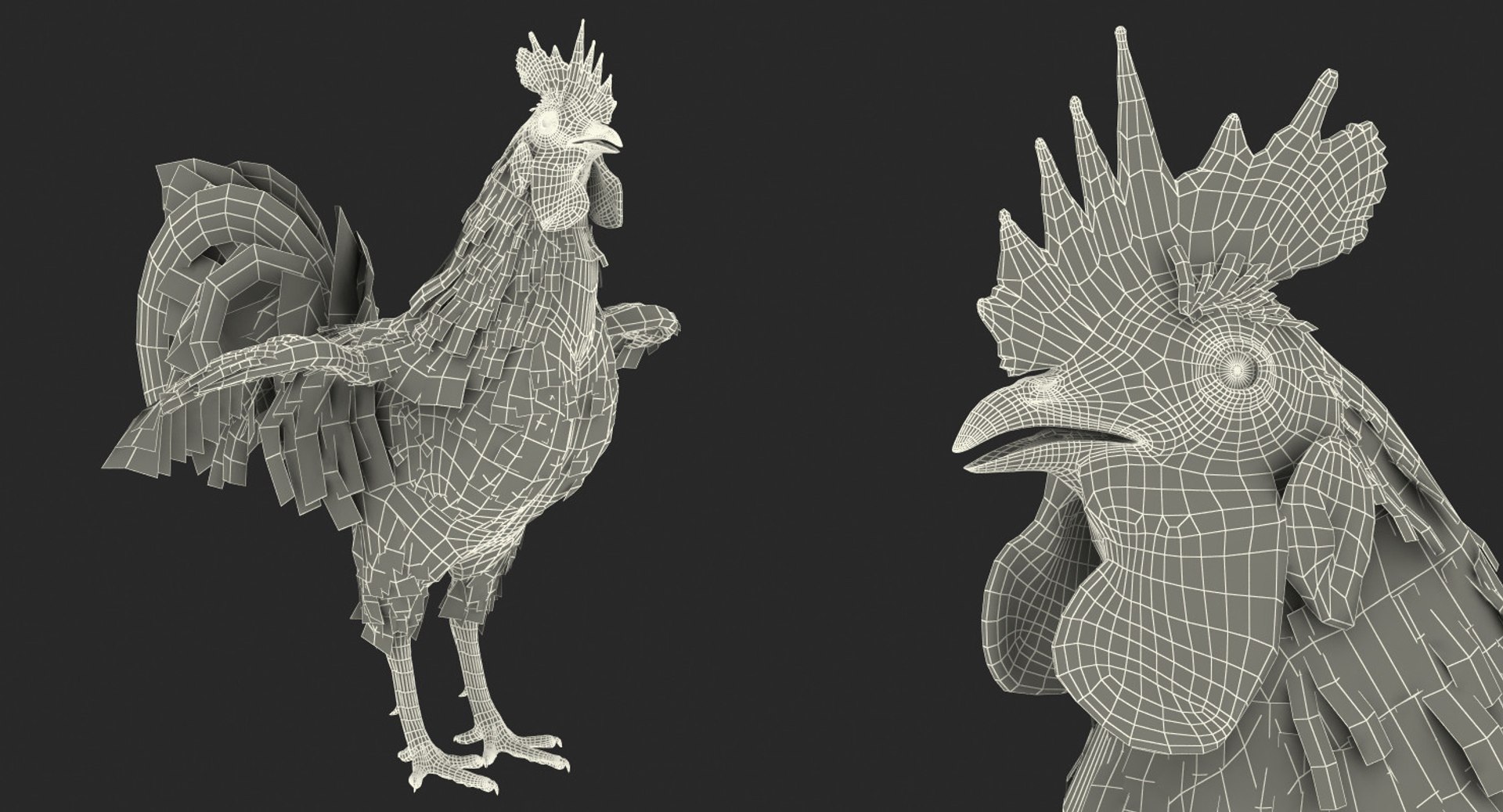 rooster chickens 3D model https://p.turbosquid.com/ts-thumb/p5/eRf1wN/WJrGqoqc/roosterandchickenscollection3dmodels31/jpg/1505242504/1920x1080/fit_q87/7703c4c17305a7776faf50642fe5551ca6394b14/roosterandchickenscollection3dmodels31.jpg