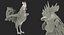 rooster chickens 3D model