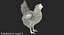 rooster chickens 3D model