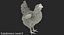 rooster chickens 3D model