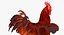 rooster chickens 3D model