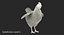 rooster chickens 3D model