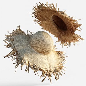Straw Summer Hat Scanned 3D model