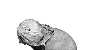 3D Eggplant 3D CT scan model decimate 08 percent