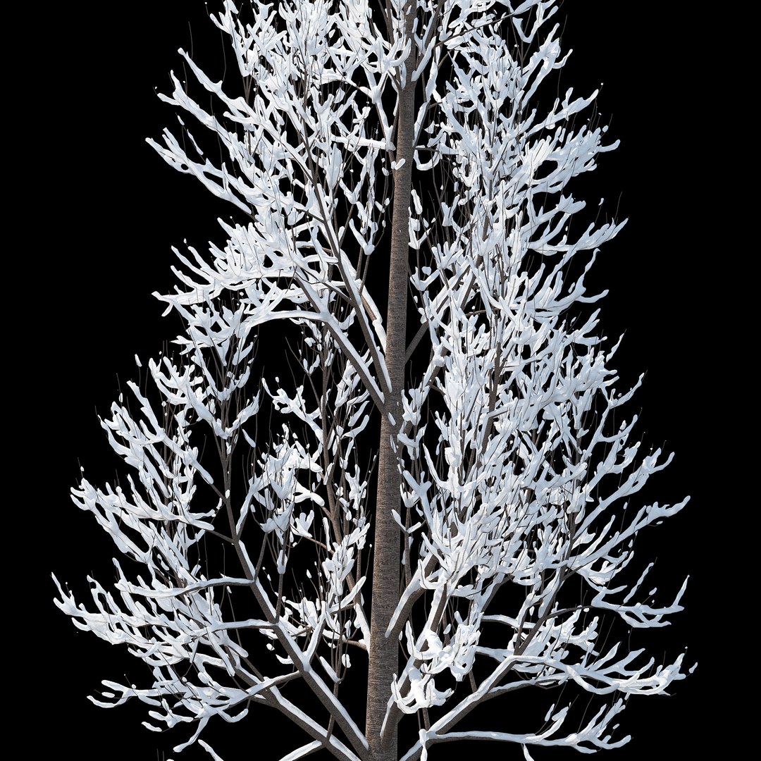 Winter Tree 017 Model - TurboSquid 1229655