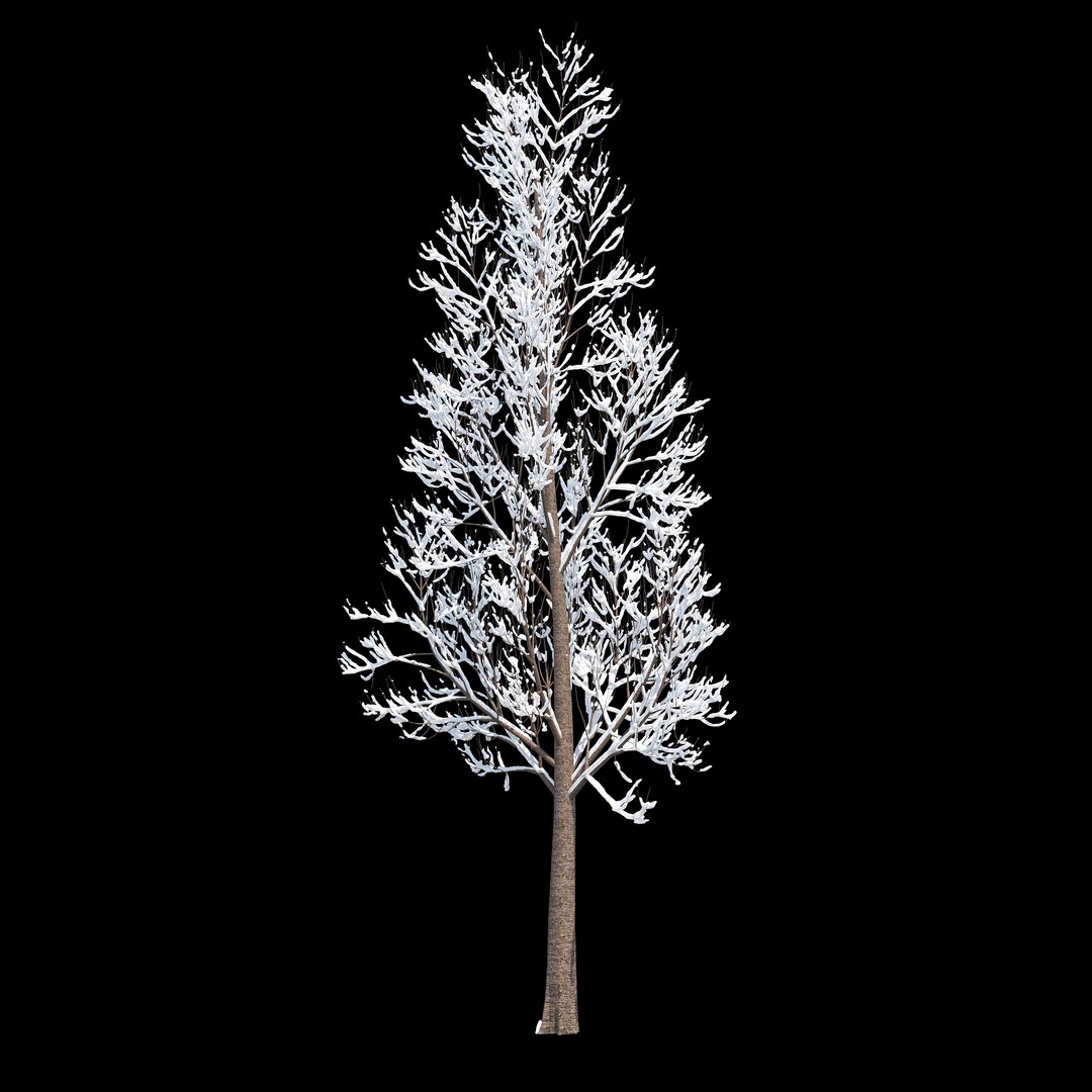 Winter Tree 017 Model - TurboSquid 1229655